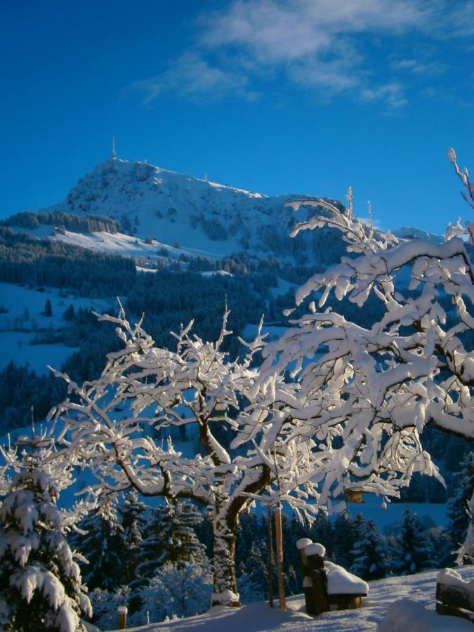 Filzenhof Apartman Kitzbühel Kültér fotó