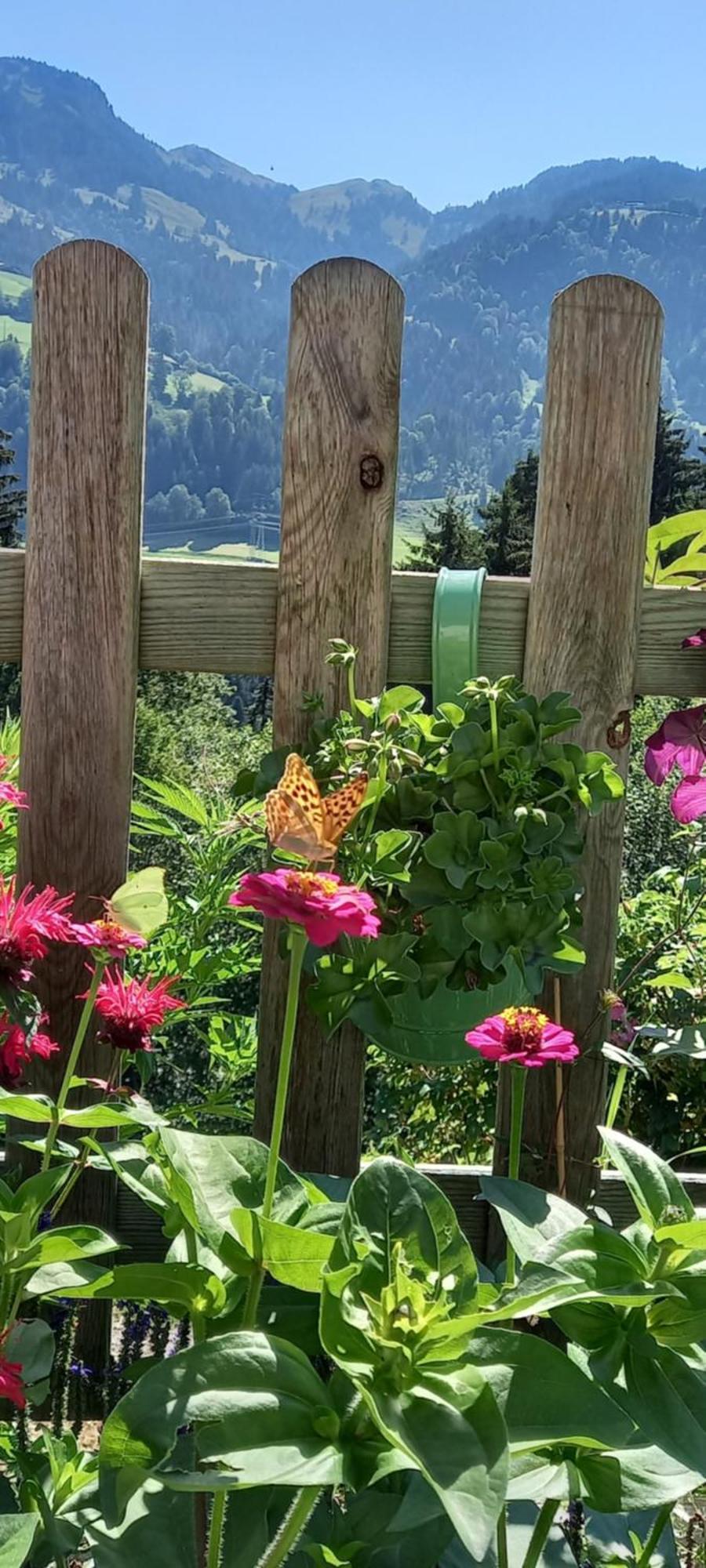 Filzenhof Apartman Kitzbühel Kültér fotó